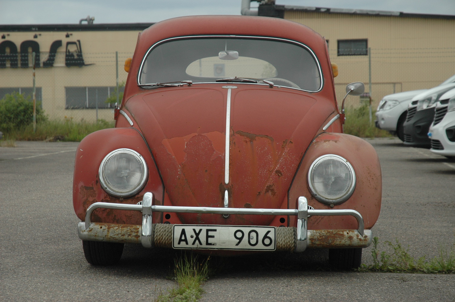 Seven.JPG, 367.21 kb, 1504 x 1000