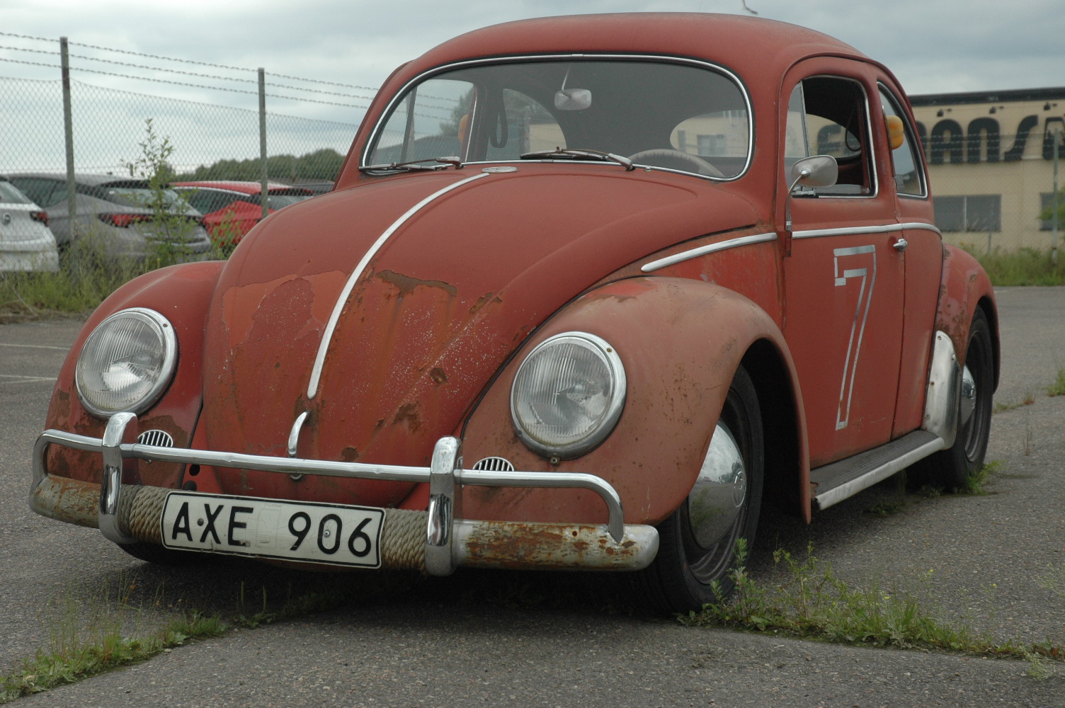 DSC_0181.JPG, 406.08 kb, 1504 x 1000