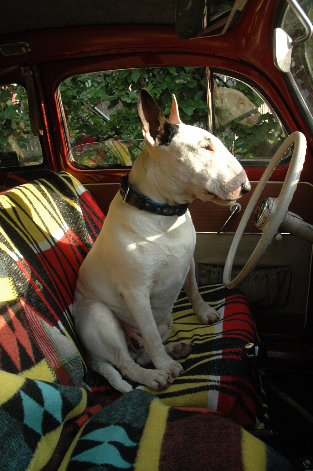 DSC_0285.jpg, 622.72 kb, 1000 x 1504