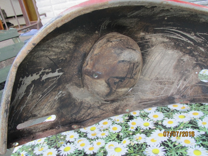 IMG_5953 (800x600).jpg, 335.05 kb, 800 x 600