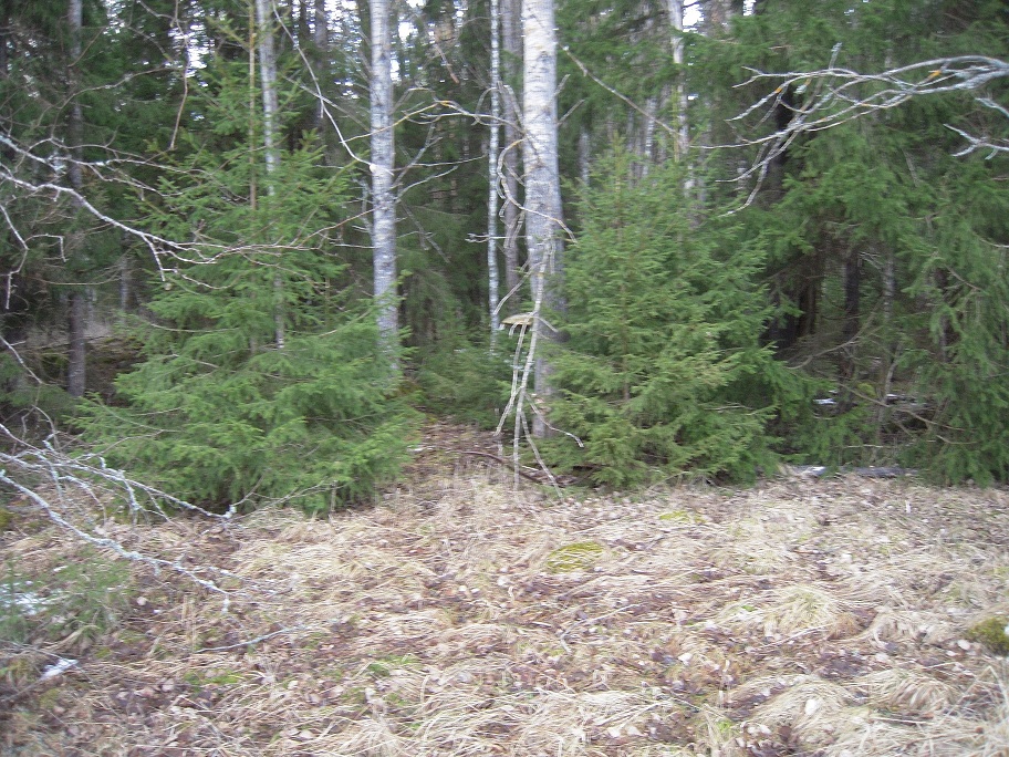 1.JPG, 363.27 kb, 912 x 684