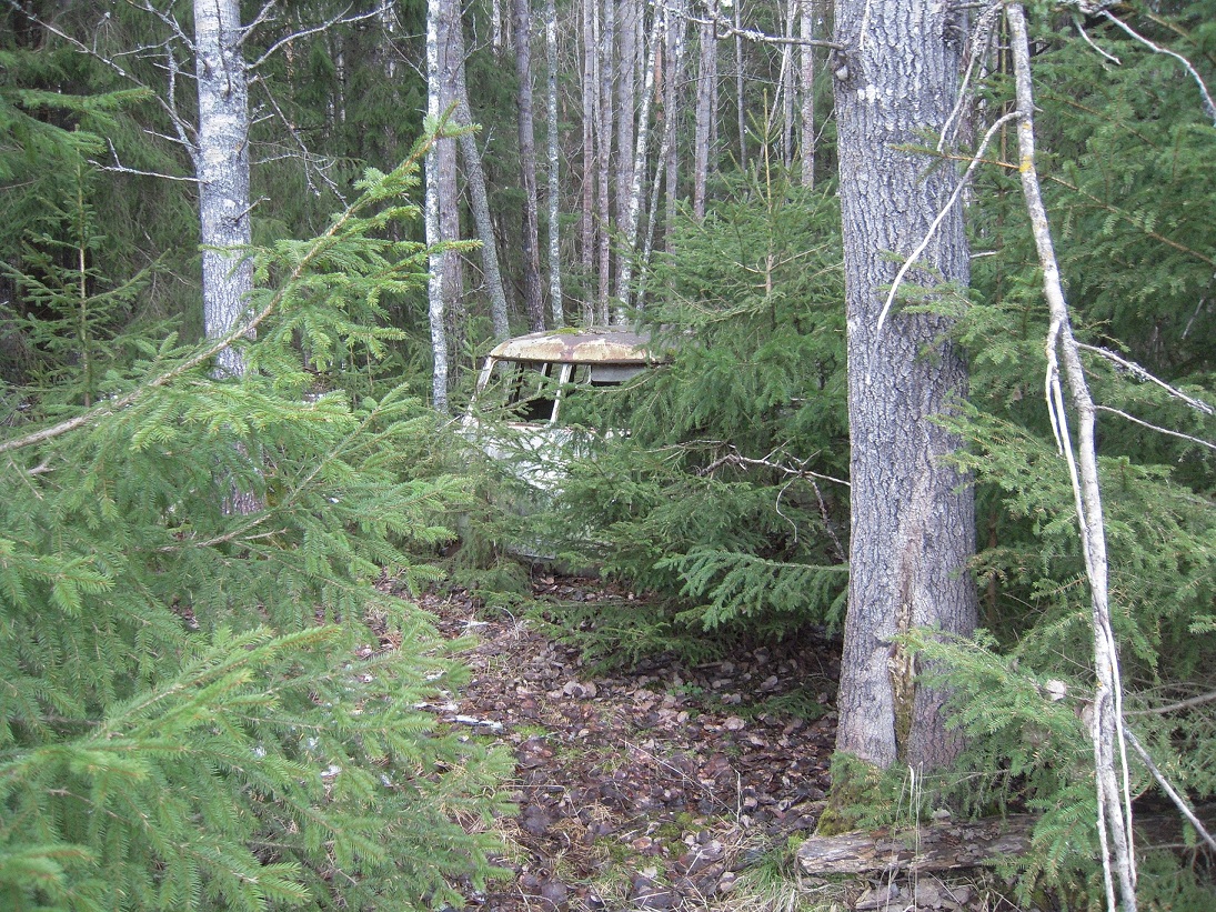 2.JPG, 588.33 kb, 1095 x 821