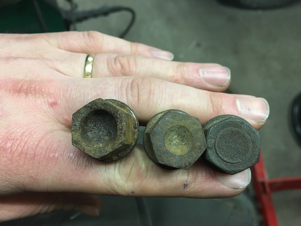 IMG_4100.JPG, 214.96 kb, 1008 x 756