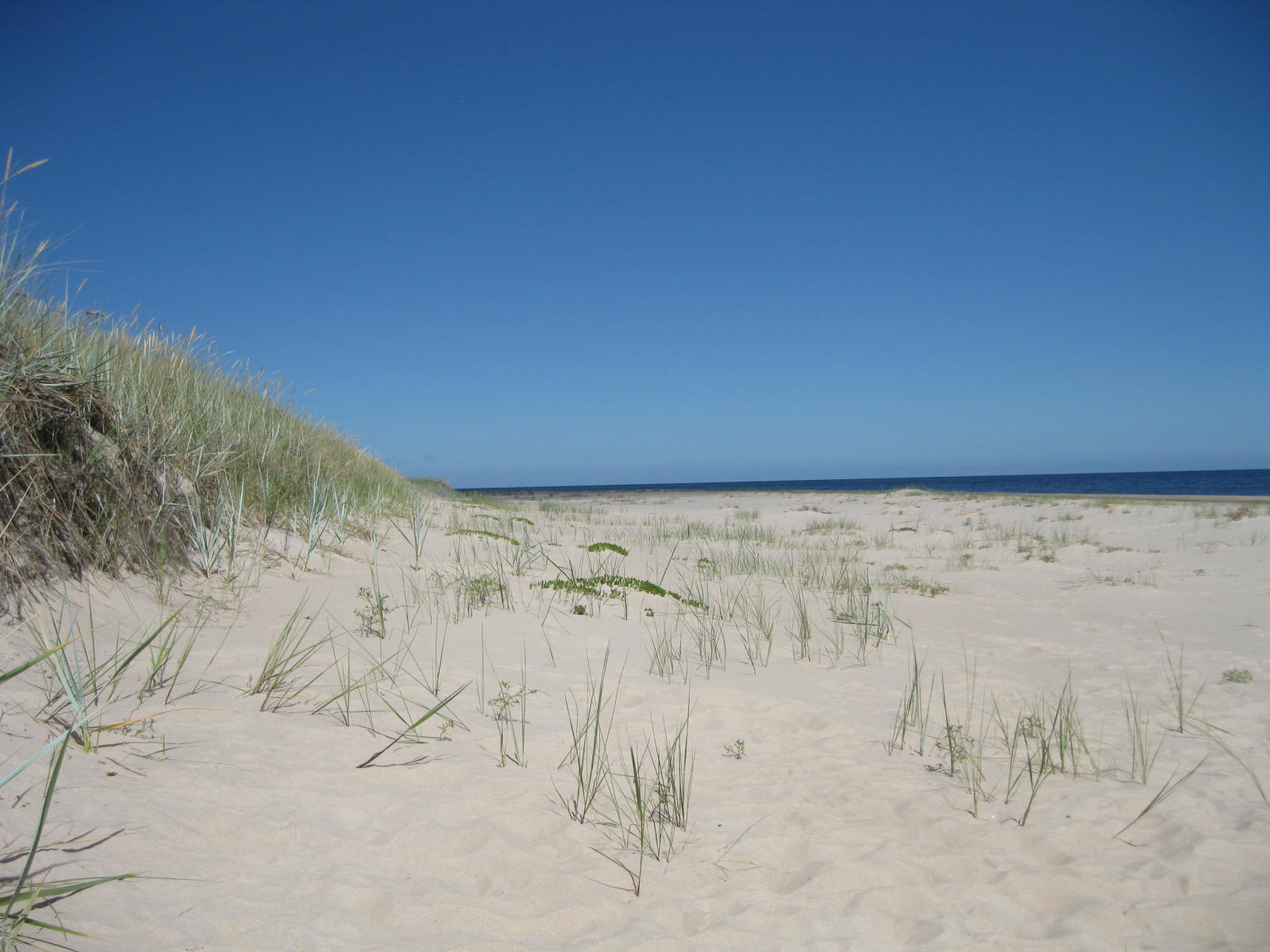 IMG_8911.JPG, 180.82 kb, 1600 x 1200