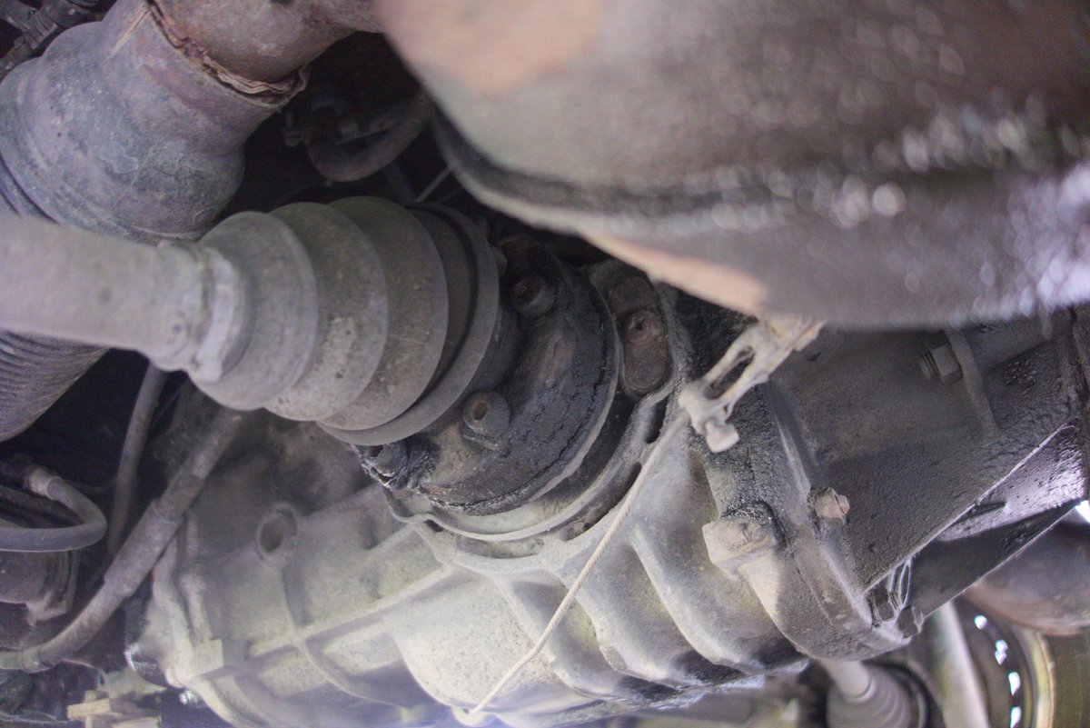 DSC03162.jpg, 204.12 kb, 1200 x 801