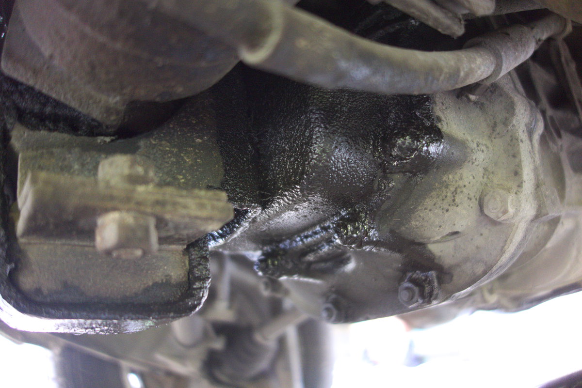 DSC03165.jpg, 193.13 kb, 1200 x 801