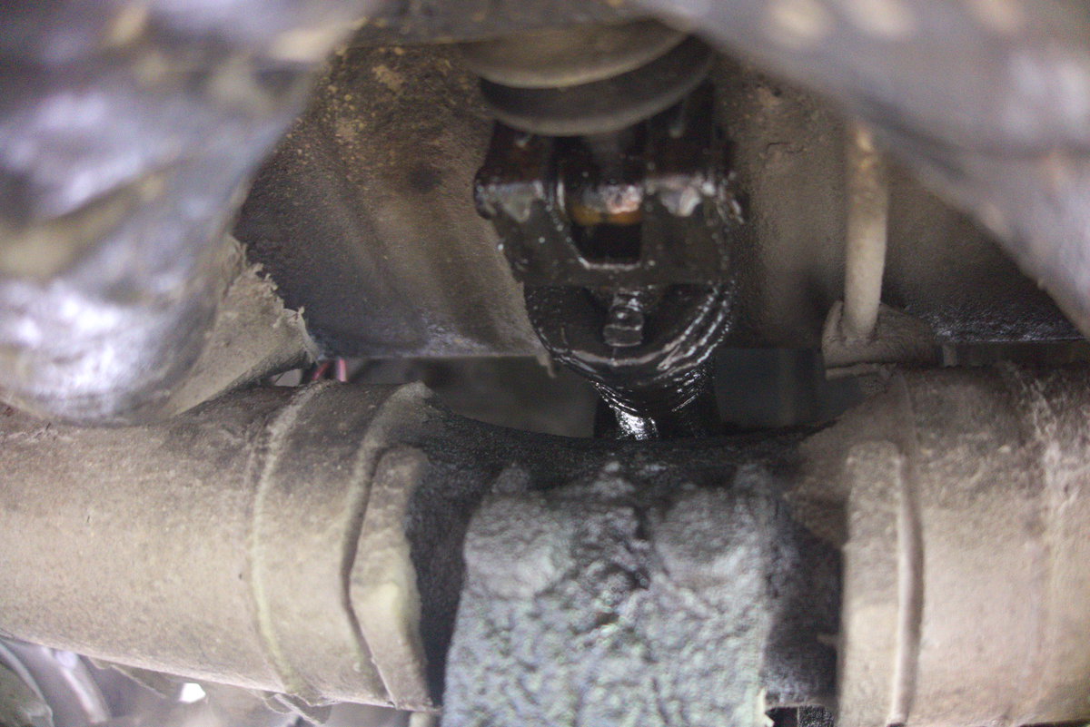 DSC03168.jpg, 199.66 kb, 1200 x 801