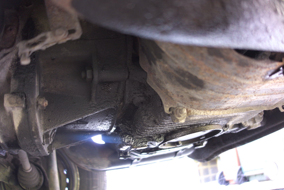 DSC03171.jpg, 168.54 kb, 1200 x 801