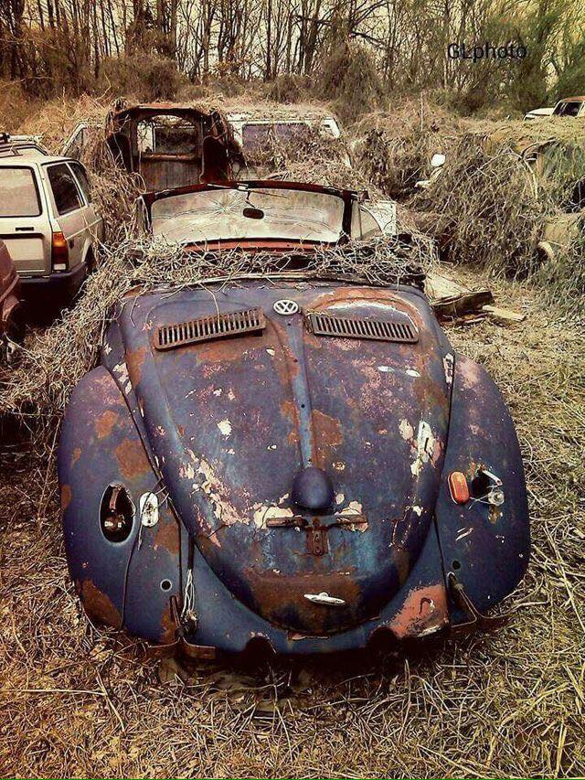 tumblr_oats0ukksd1u0xj27o1_1280.jpg, 175.02 kb, 640 x 853