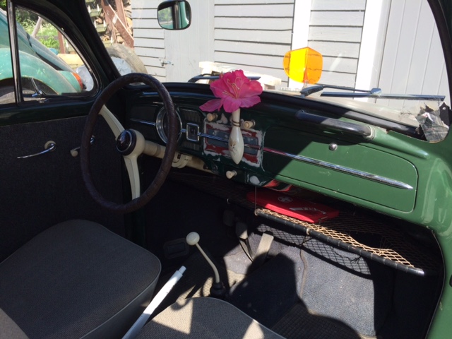 image1 (1).JPG, 113.81 kb, 640 x 480