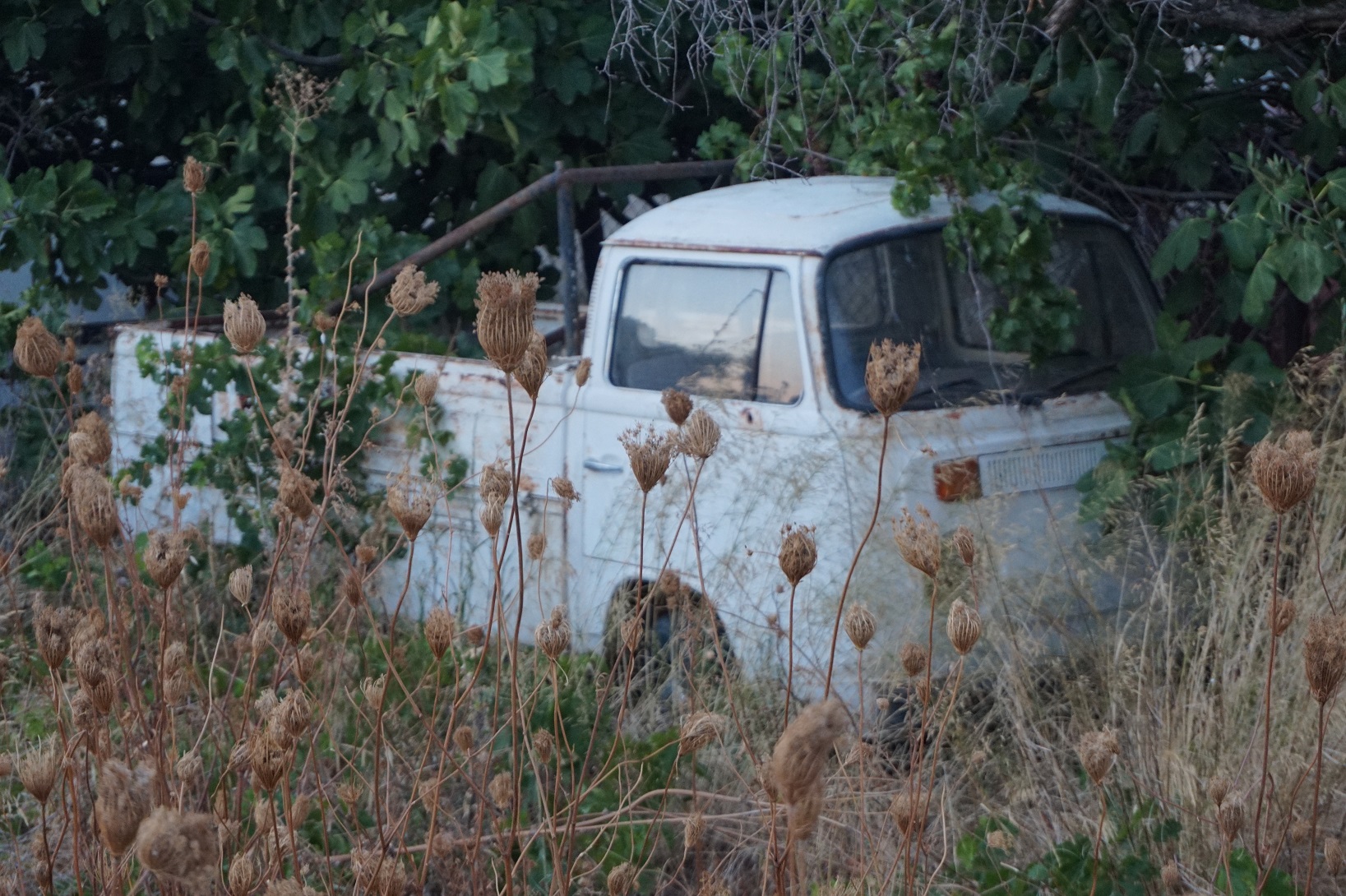 29.JPG, 699.1 kb, 1637 x 1090