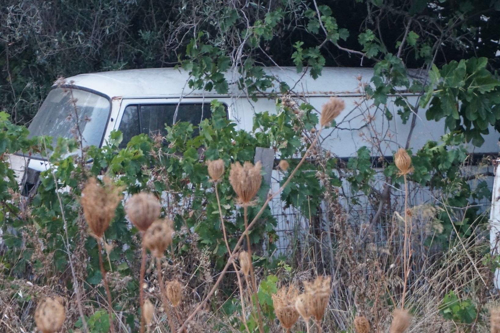 30.JPG, 839.32 kb, 1637 x 1090