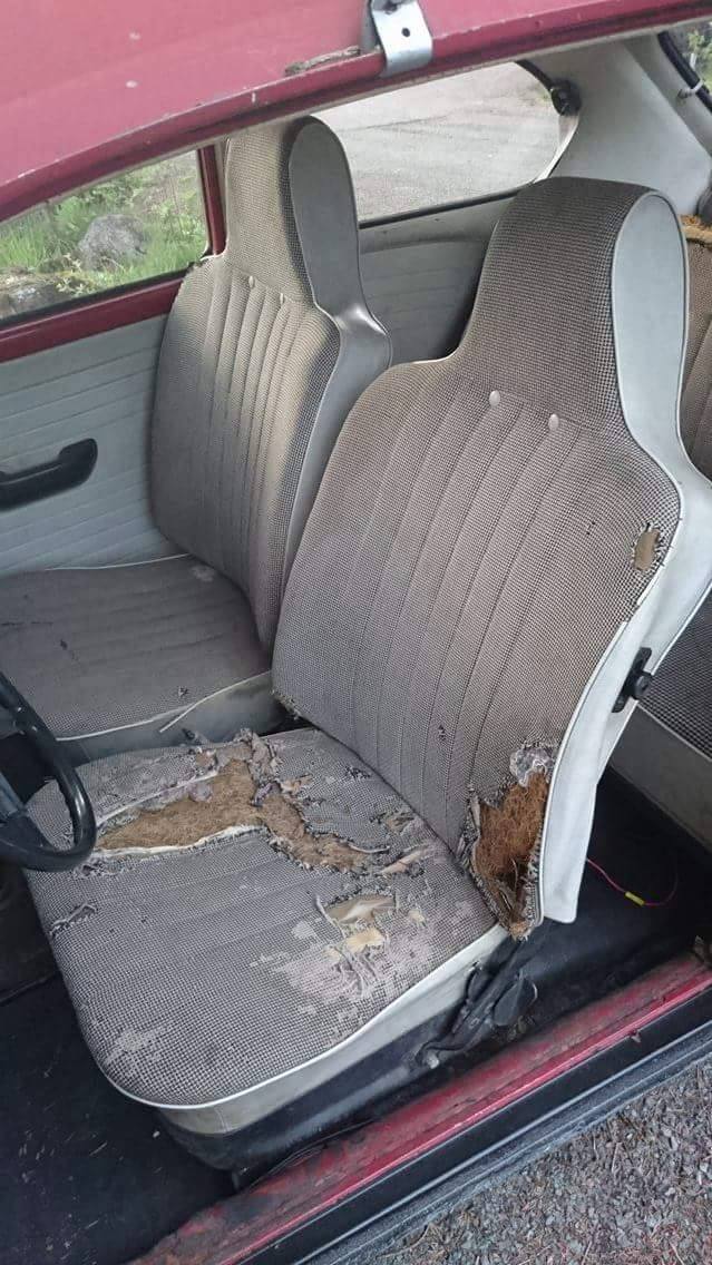 13987336_10208674784083824_1818096407_o.jpg, 119.49 kb, 639 x 1136