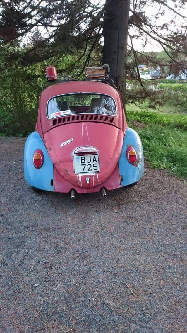 13940140_10208674782123775_1539762059_o.jpg, 158.52 kb, 639 x 1136