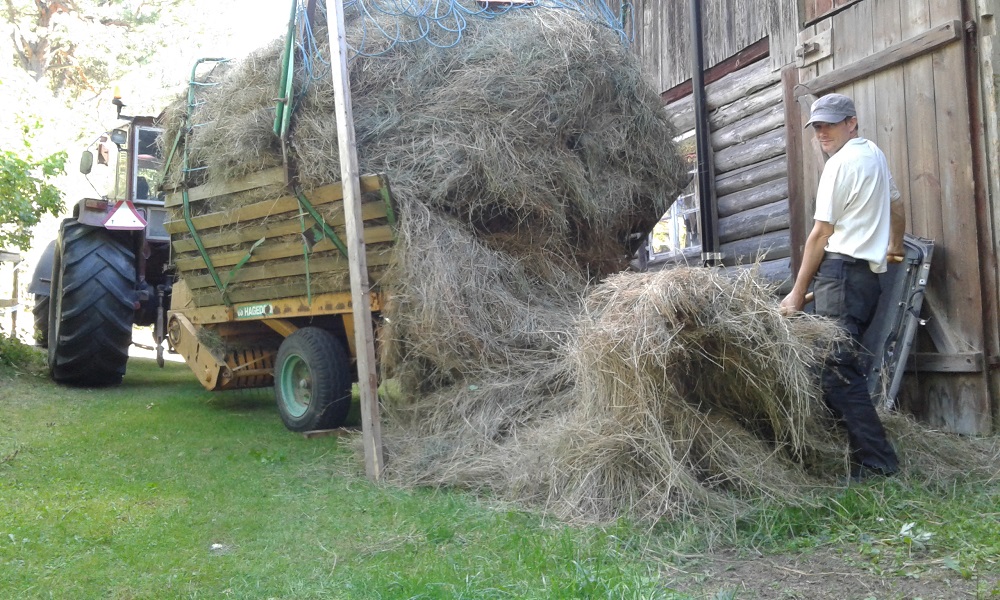 20160813_164234.jpg, 304.68 kb, 1000 x 600