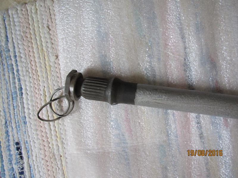 IMG_6063 (800x600).jpg, 334.59 kb, 800 x 600