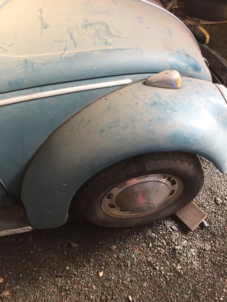 14123519_10154540186458939_263910174_o.jpg, 124.83 kb, 768 x 1024