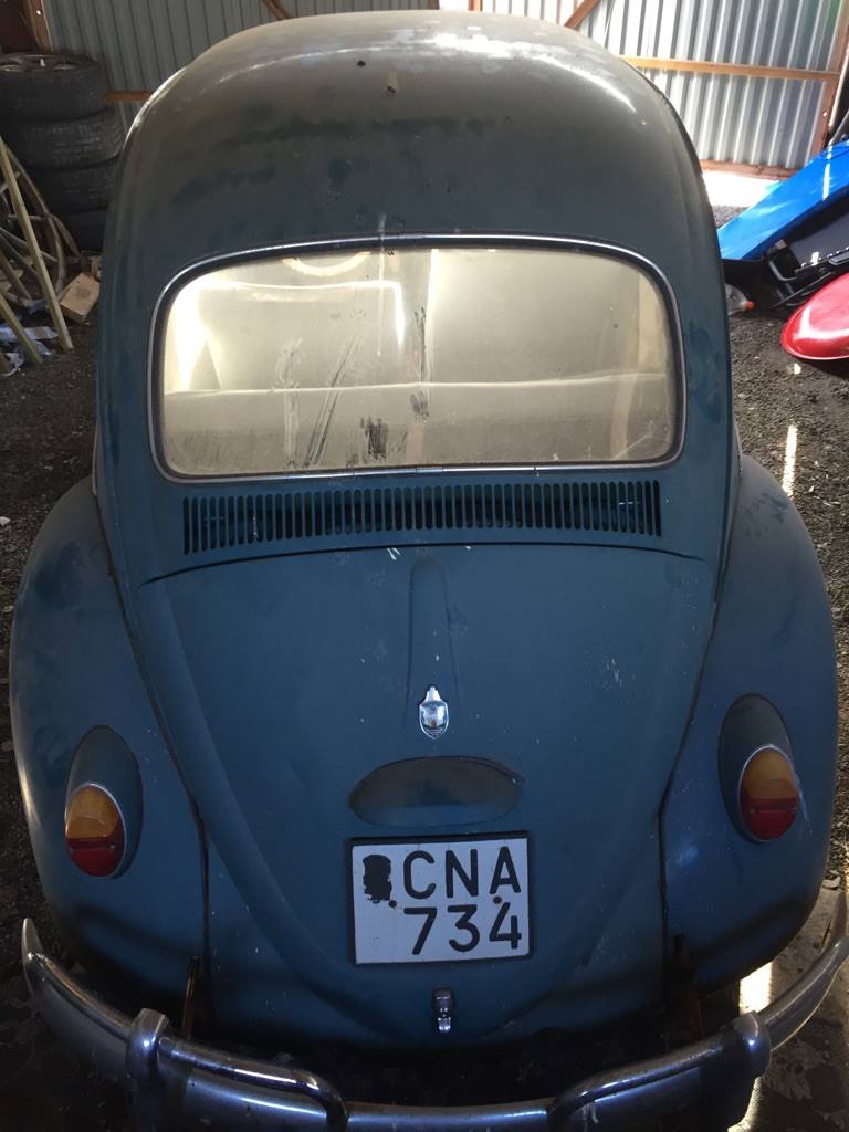 14151767_10154540186553939_975962756_o.jpg, 74.15 kb, 768 x 1024