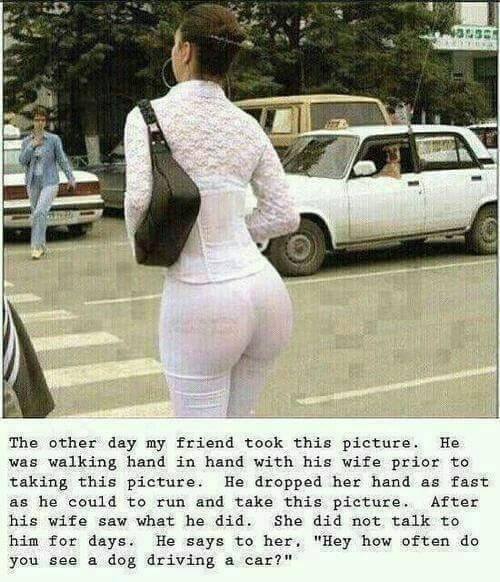 13668979_1222961114394668_1637297214644522105_n.jpg, 58.73 kb, 500 x 582