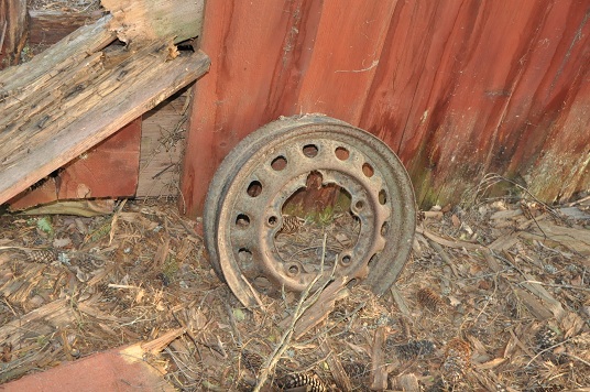 DSC_0041.JPG, 150.74 kb, 536 x 356