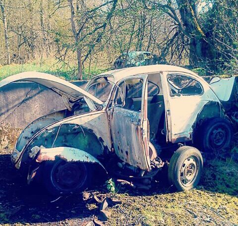 Screenshot_2016-08-31-13-17-21_1.jpg, 104.72 kb, 480 x 456