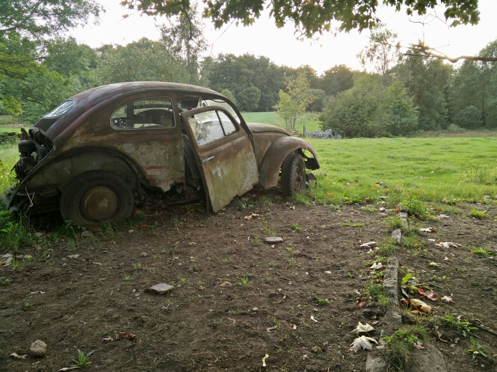 IMG-20160831-WA0001.jpg, 430.95 kb, 1600 x 1200