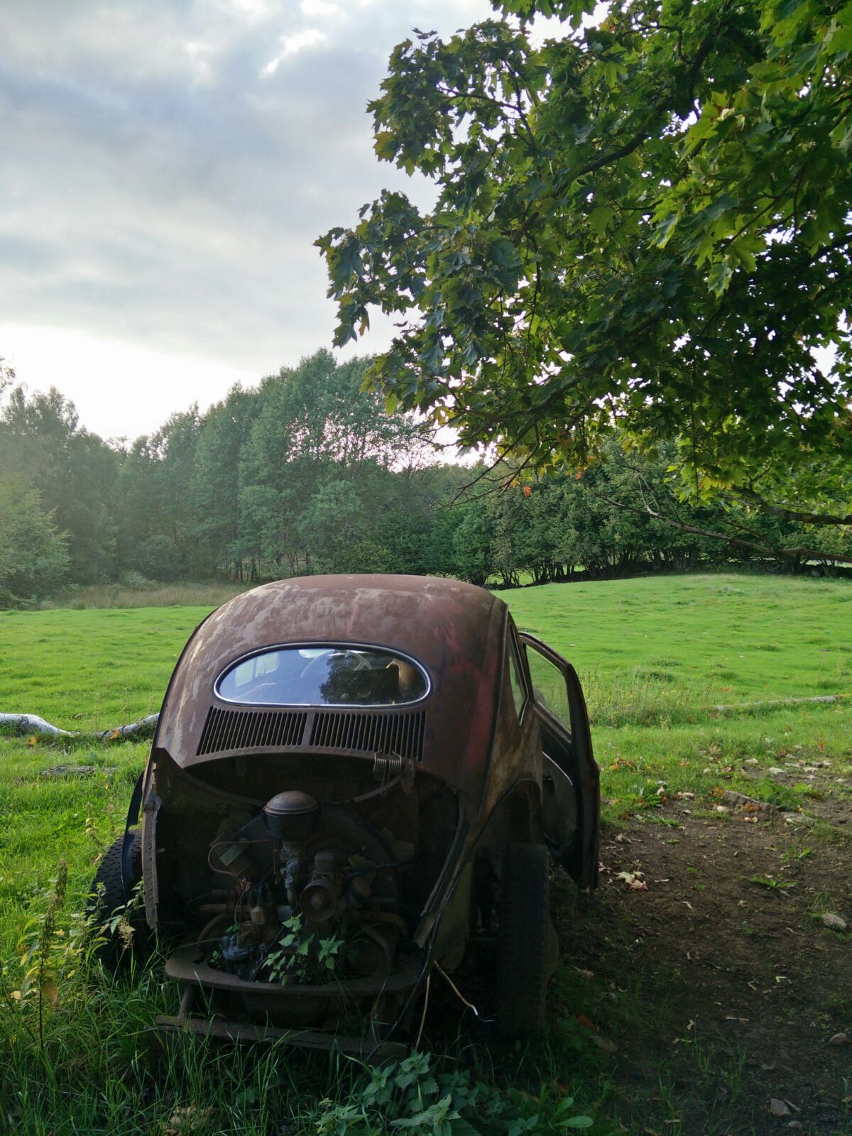 IMG-20160831-WA0002.jpg, 353.46 kb, 1200 x 1600