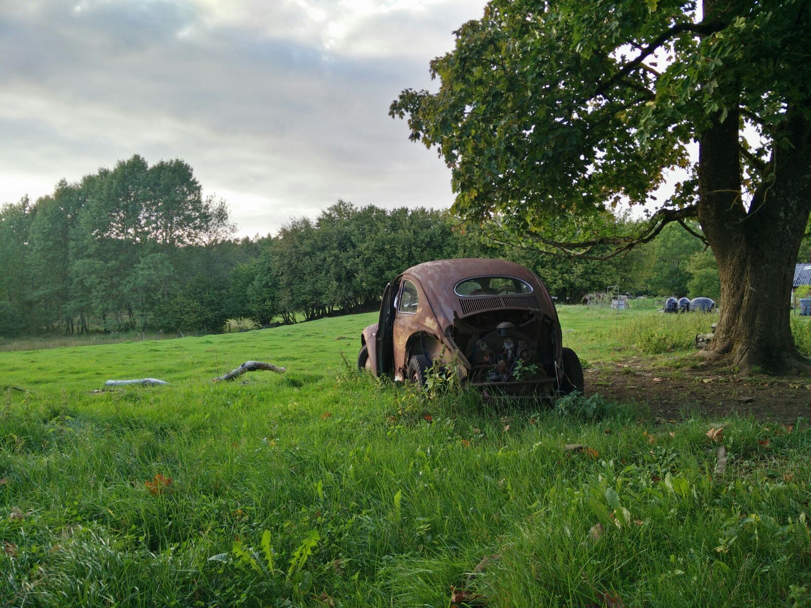 IMG-20160831-WA0003.jpg, 423.41 kb, 1600 x 1200