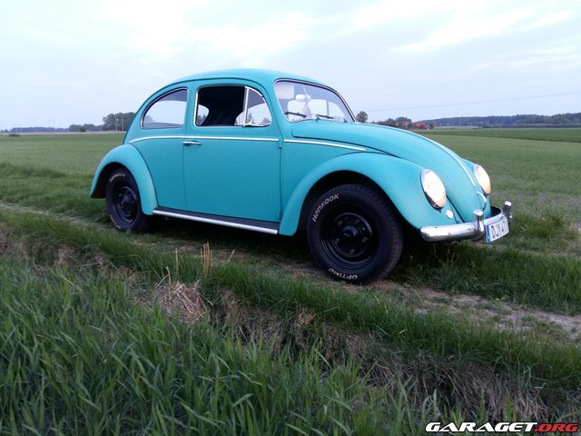 hgfhgfhfghfg.jpg, 66.14 kb, 640 x 480