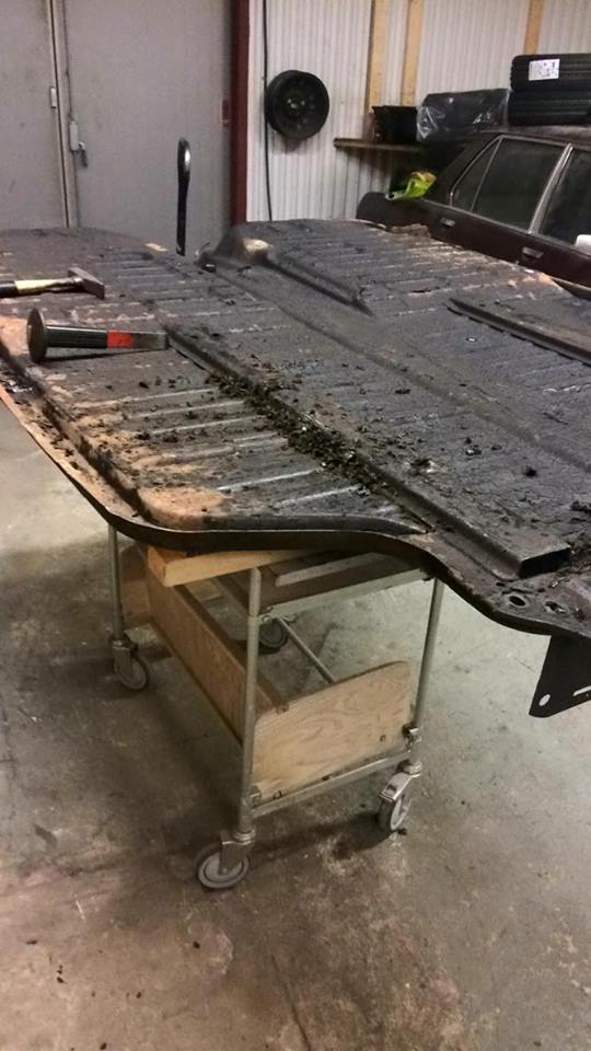 14281422_10210564158559562_1305494908_n.jpg, 72.2 kb, 540 x 960