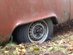 IMG_08161.jpg, 20.3 kb, 240 x 180