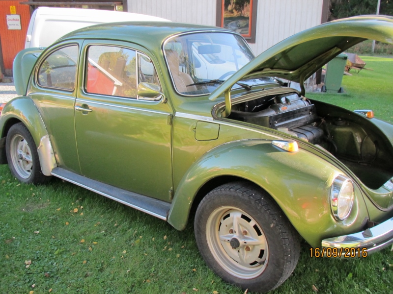 IMG_6207 (800x600).jpg, 301.96 kb, 800 x 600