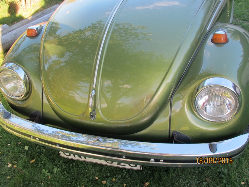 IMG_6227 (800x600).jpg, 282.76 kb, 800 x 600