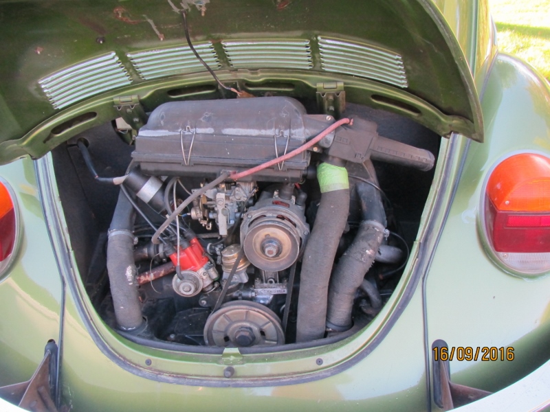 IMG_6208 (800x600).jpg, 262.77 kb, 800 x 600