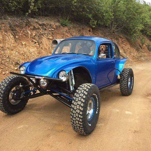 tumblr_oa1r52rMmD1qhfxapo1_500.jpg, 128.61 kb, 500 x 500