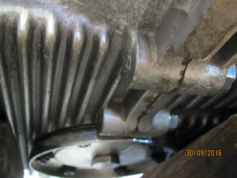 IMG_6303 (800x600).jpg, 218.25 kb, 800 x 600