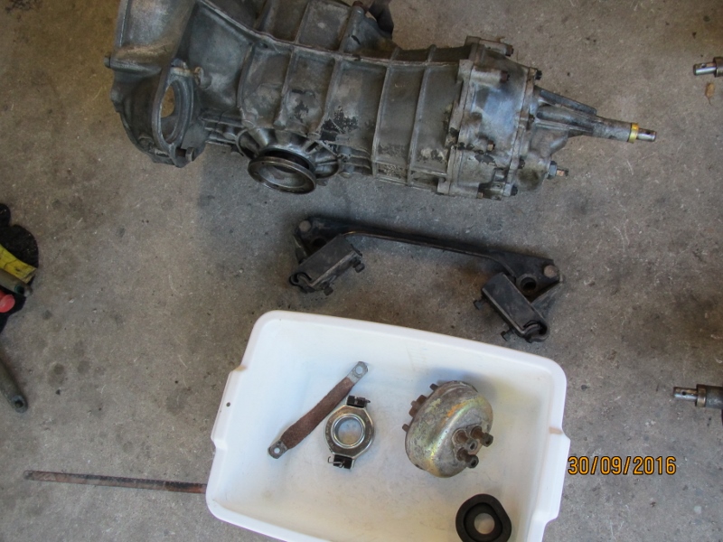 IMG_6292 (800x600).jpg, 263.8 kb, 800 x 600