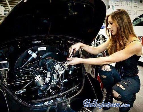 180.jpg, 61.66 kb, 504 x 395