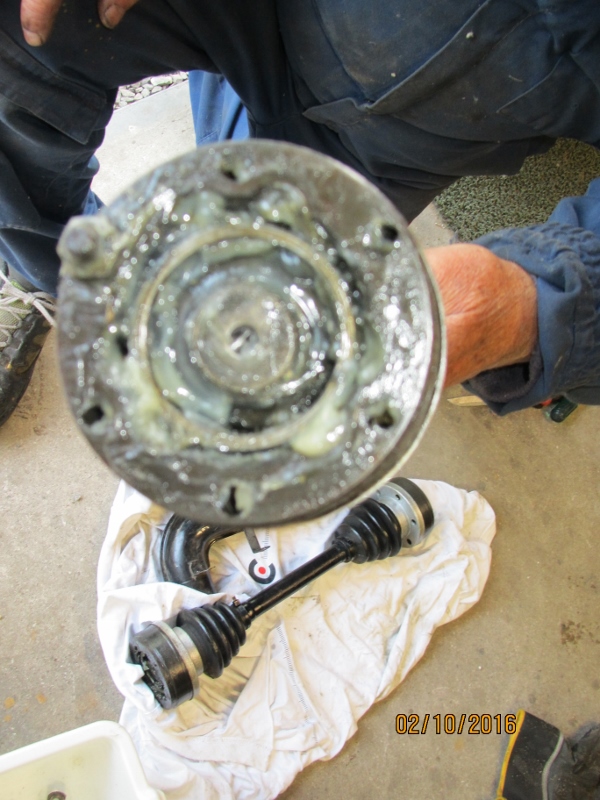 IMG_6305 (600x800).jpg, 259.67 kb, 600 x 800