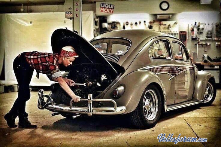 189.jpg, 103.5 kb, 736 x 489