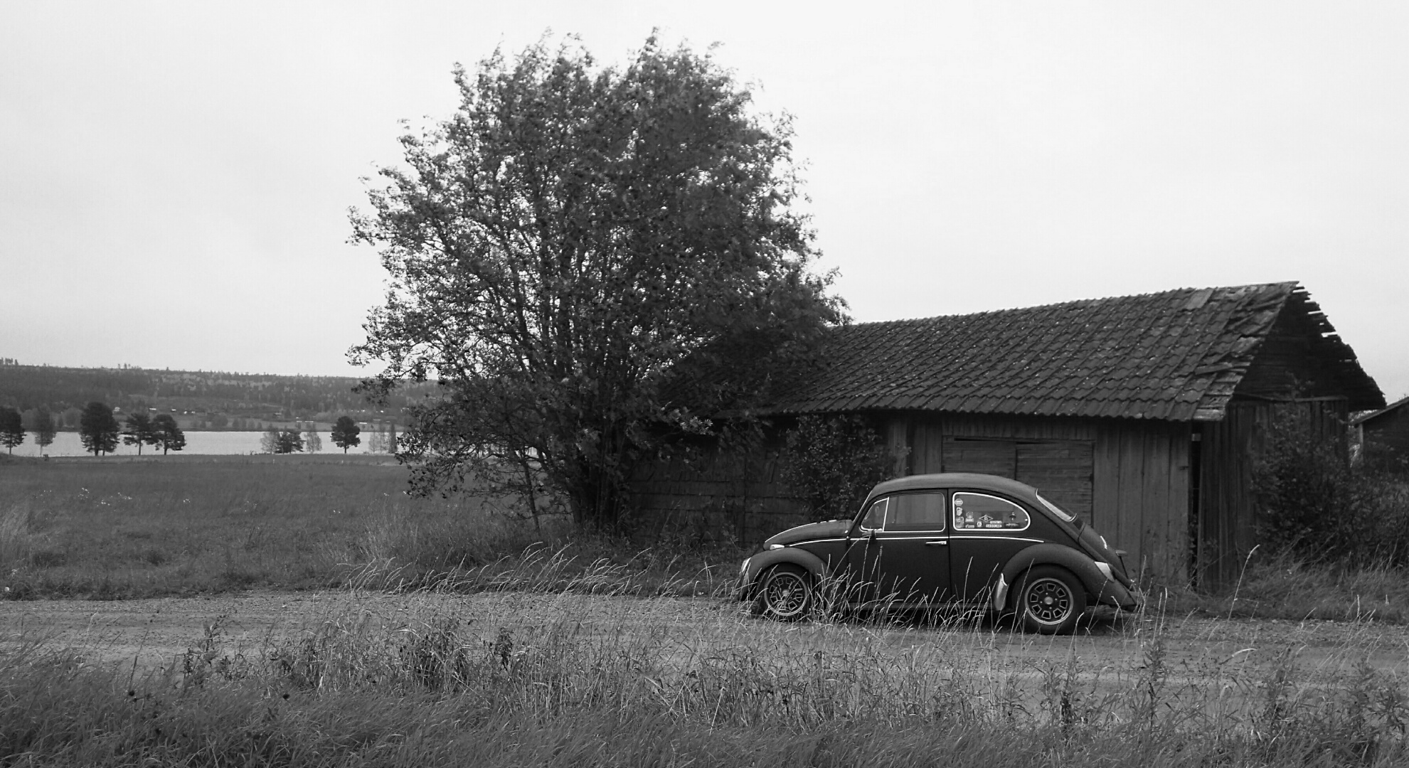 IMG_20161009_000200.JPG, 735.82 kb, 1981 x 1080