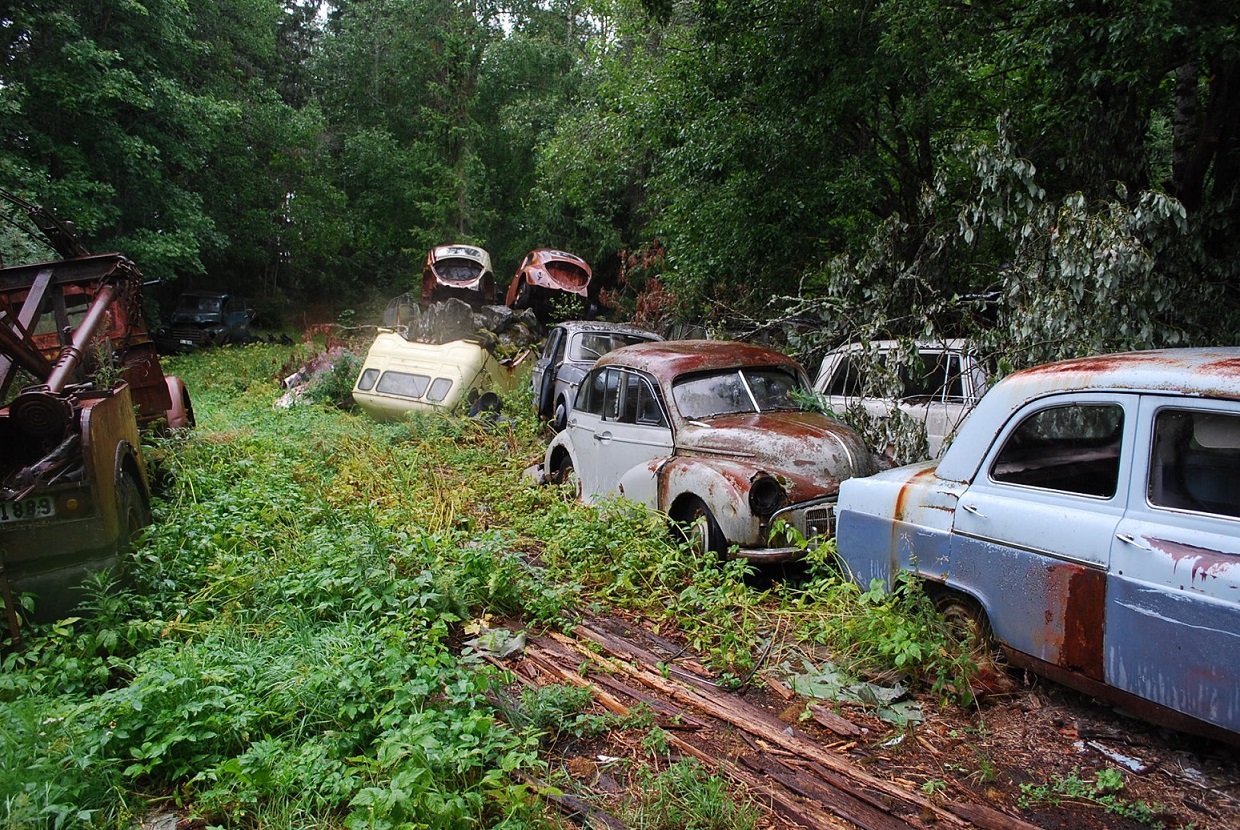 DSC_0144.JPG, 656.19 kb, 1240 x 830