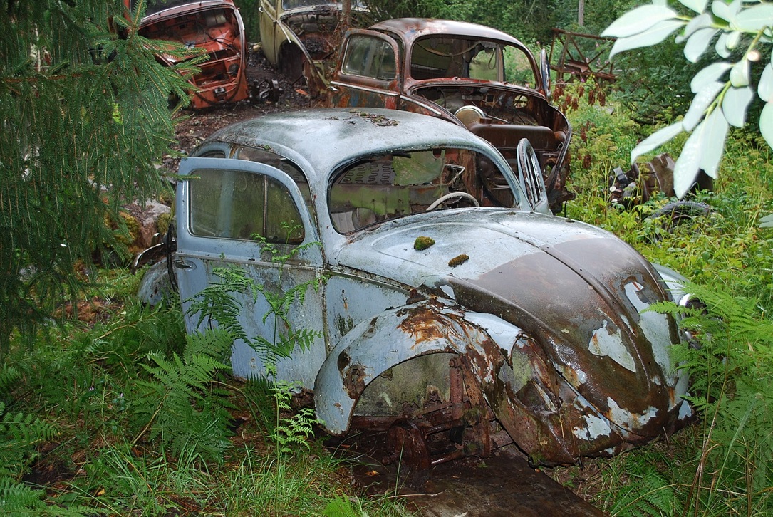 DSC_0149.JPG, 487.69 kb, 1085 x 726