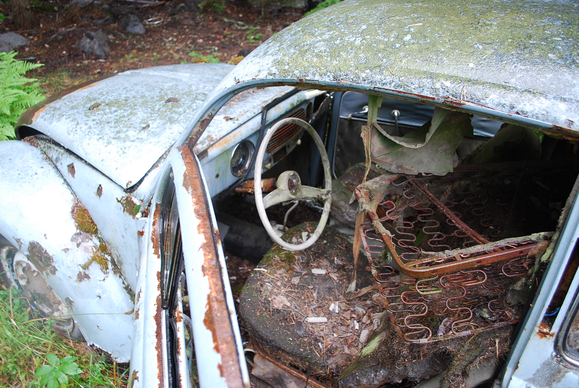 DSC_0158.JPG, 656.86 kb, 1936 x 1296