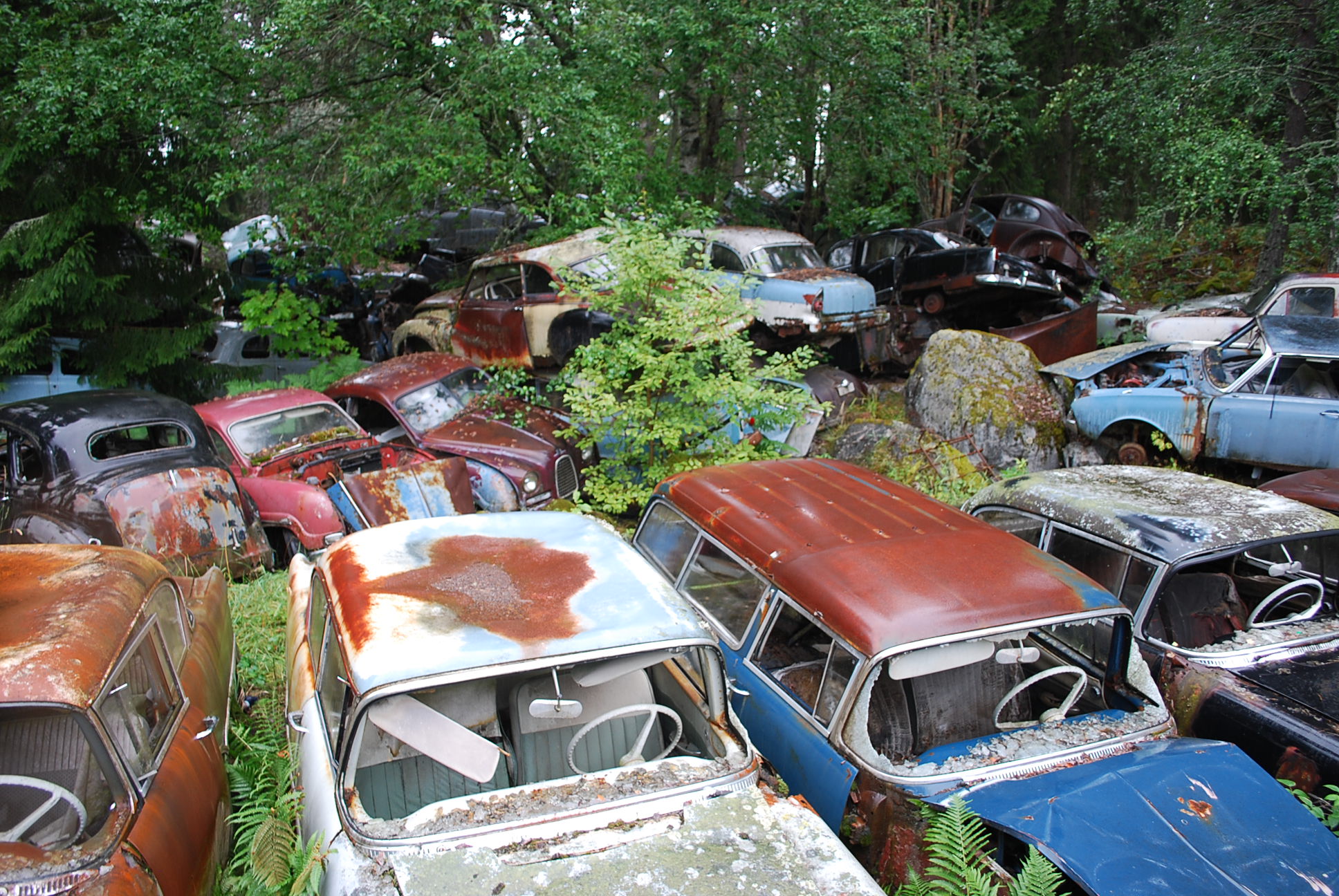 DSC_0178.JPG, 661.62 kb, 1936 x 1296