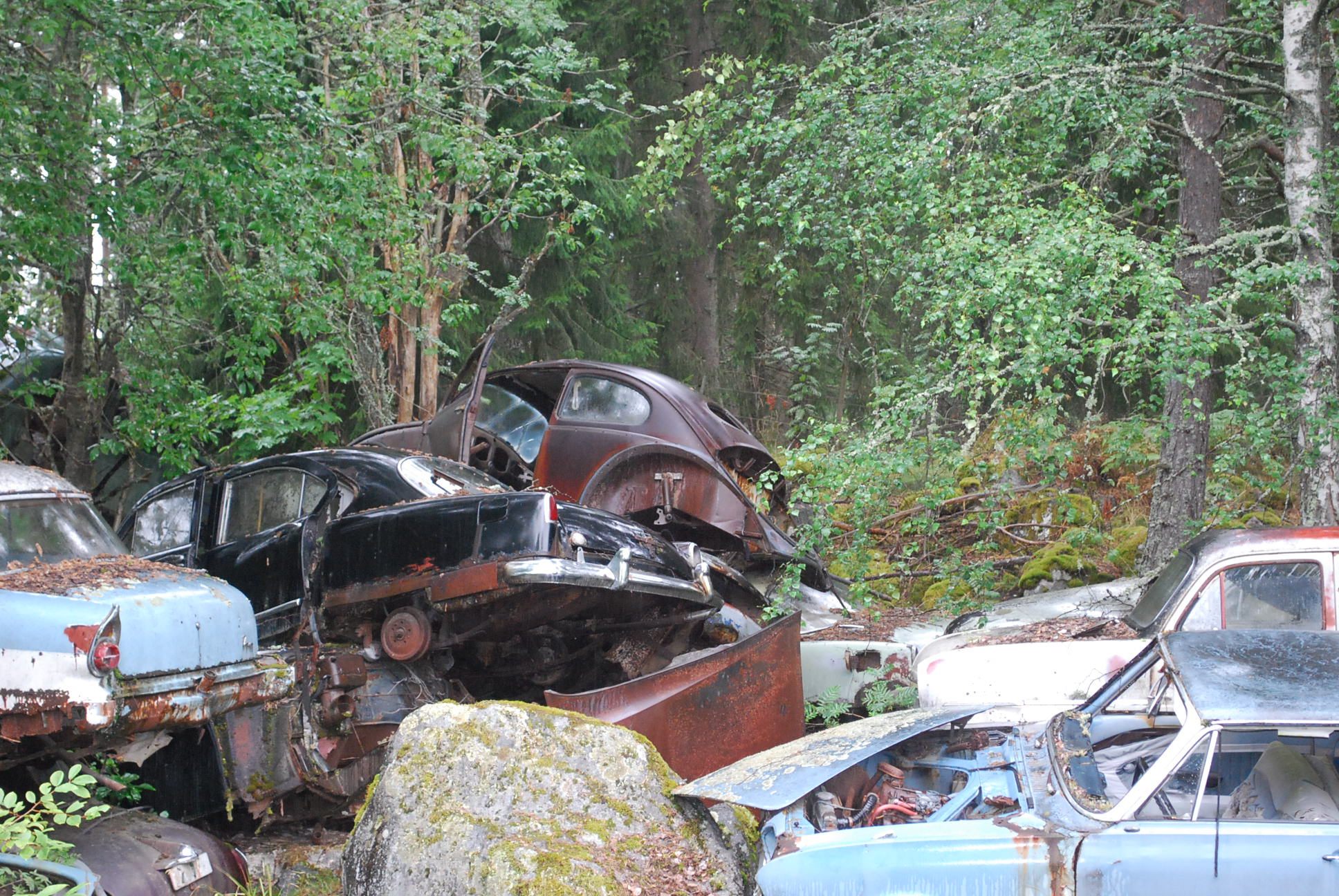 DSC_0179.JPG, 673.03 kb, 1936 x 1296