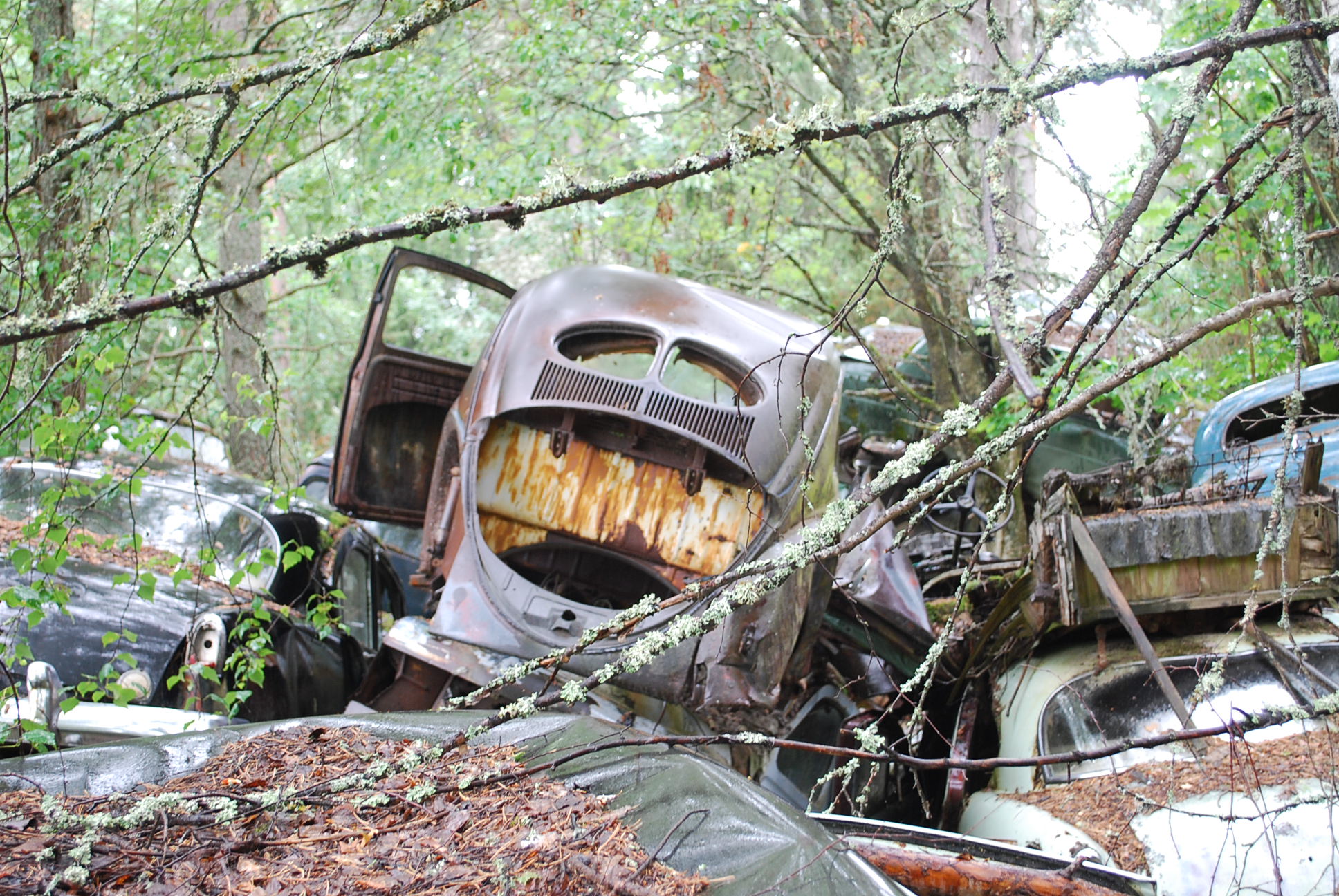 DSC_0183.JPG, 670.05 kb, 1936 x 1296