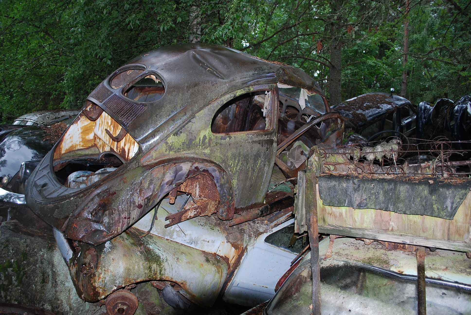 DSC_0185.JPG, 667.96 kb, 1936 x 1296