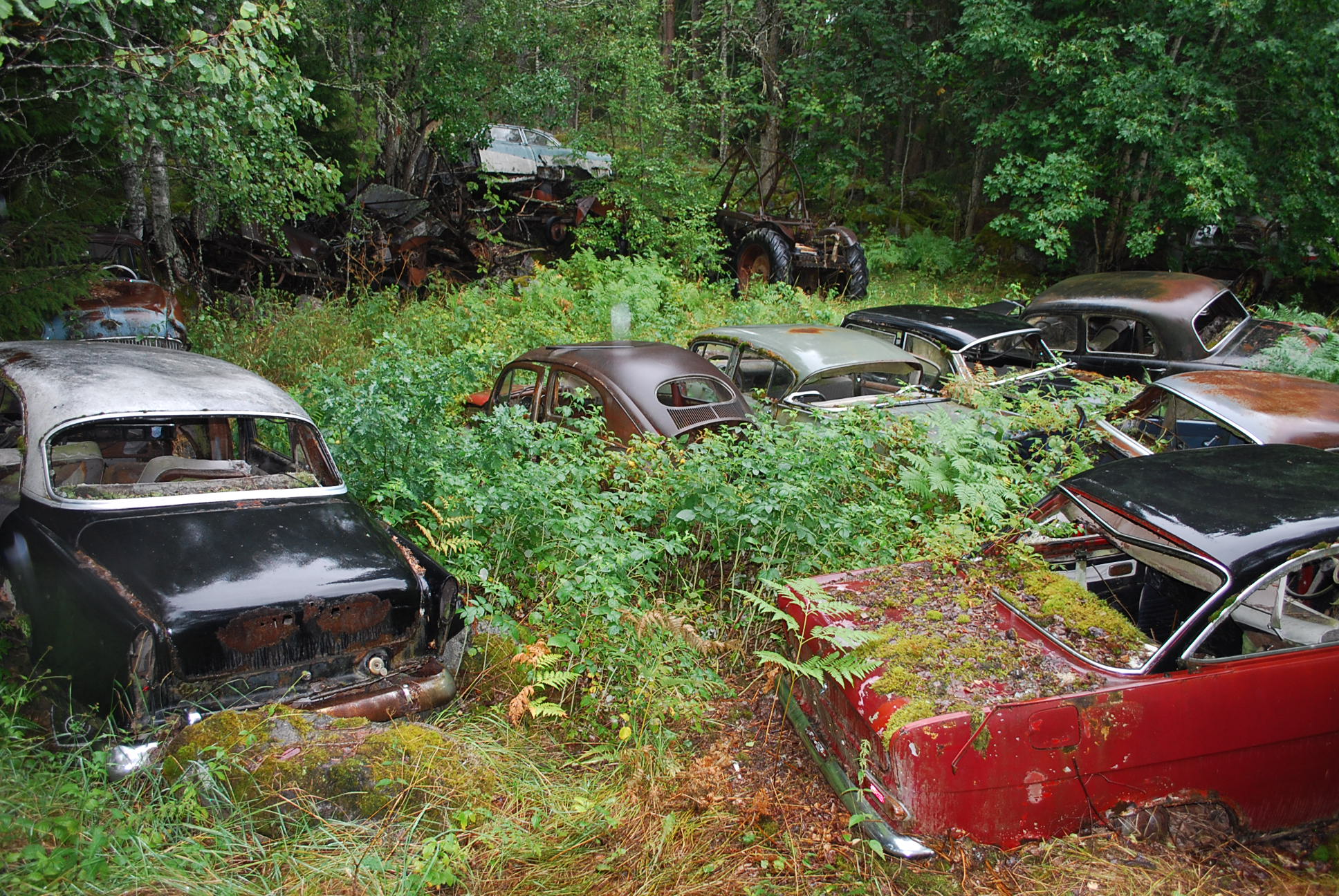 DSC_0192.JPG, 731.65 kb, 1936 x 1296