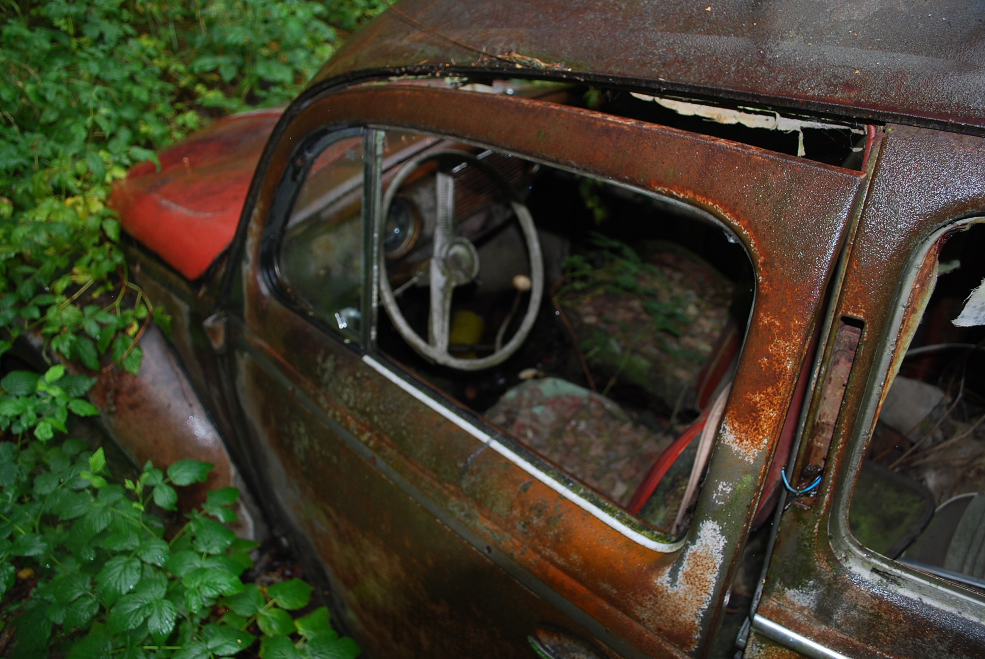 DSC_0201.JPG, 674.61 kb, 1936 x 1296